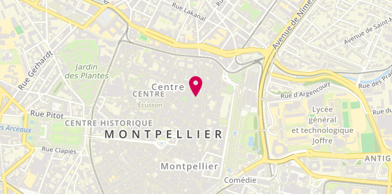 Plan de Urgence Informatique, 6 Rue de l'École de Pharmacie, 34000 Montpellier