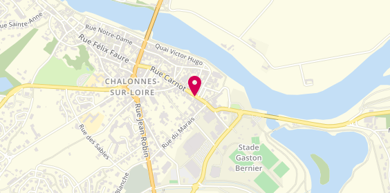 Plan de Micro Repaire, 21 Rue du Vieux Pont, 49290 Chalonnes-sur-Loire