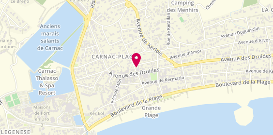 Plan de Carnac Informatique, 61 Avenue des Druides, 56340 Carnac