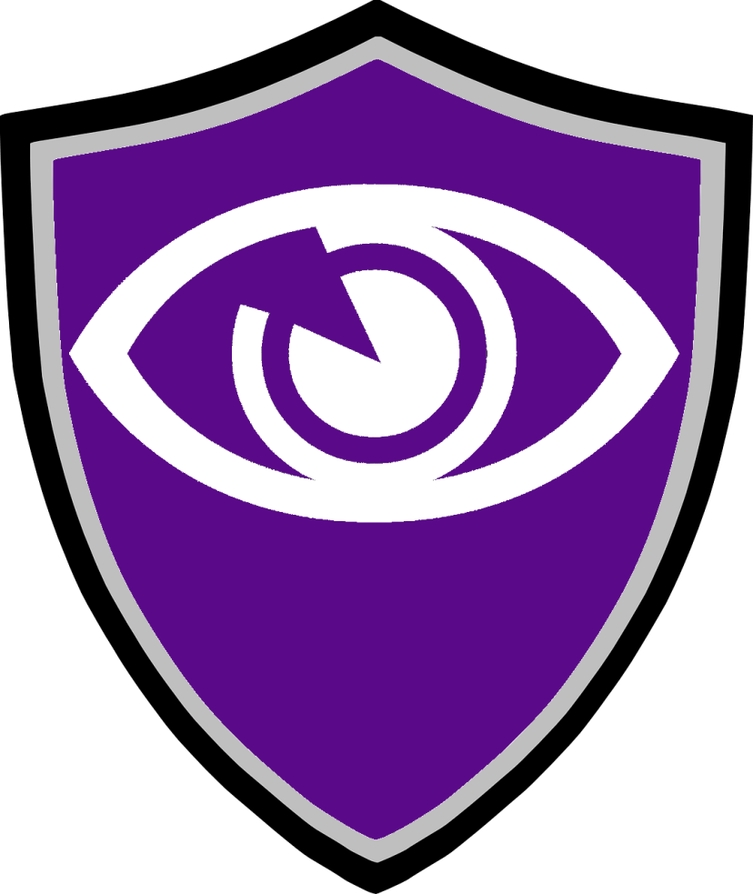 Eye Shield Informatique - 69190 Saint-Fons
